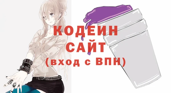 индика Нязепетровск